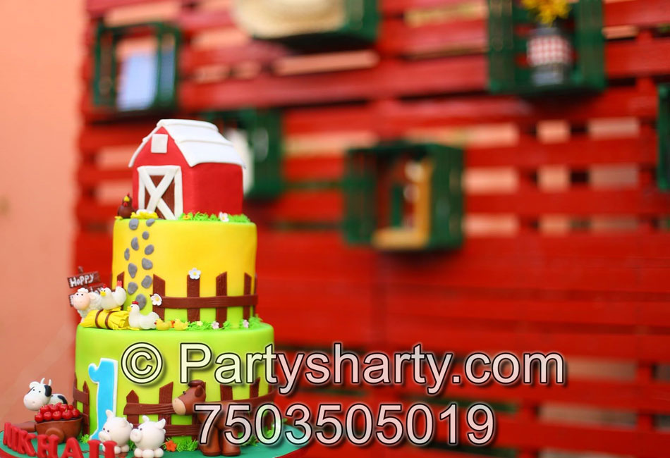 Farm Theme Birthday Party, Birthday themes for Boys, Birthday themes for girls, Birthday party Ideas, birthday party organisers in Delhi, Gurgaon, Noida, Best Birthday Party Themes for Kids and Adults, theme-based birthday party