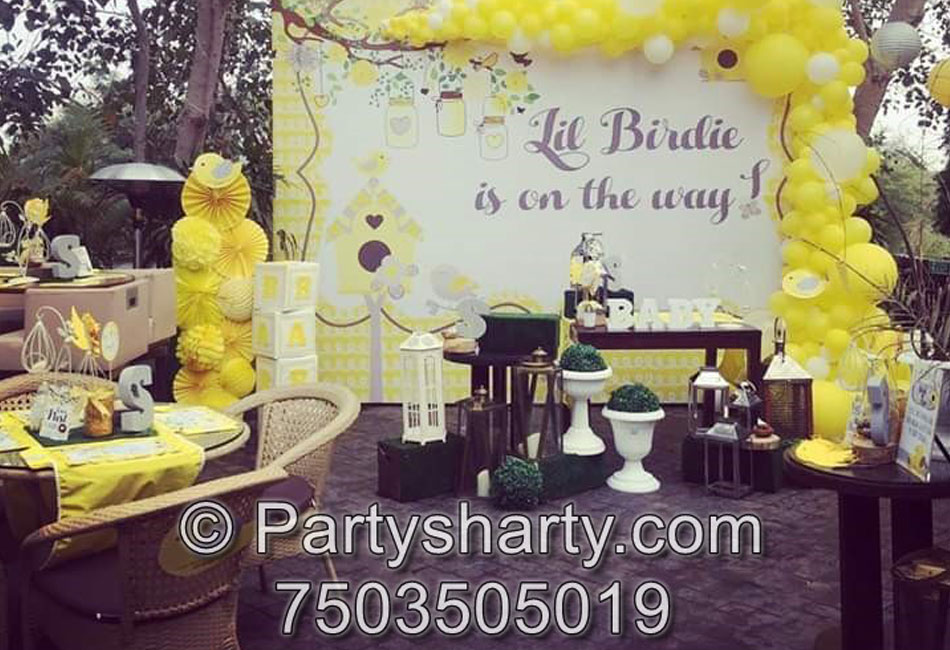 Little Birdie Theme Birthday Party, Birthday themes for Boys, Birthday themes for girls, Birthday party Ideas, birthday party organisers in Delhi, Gurgaon, Noida, Best Birthday Party Themes for Kids and Adults, theme-based birthday party