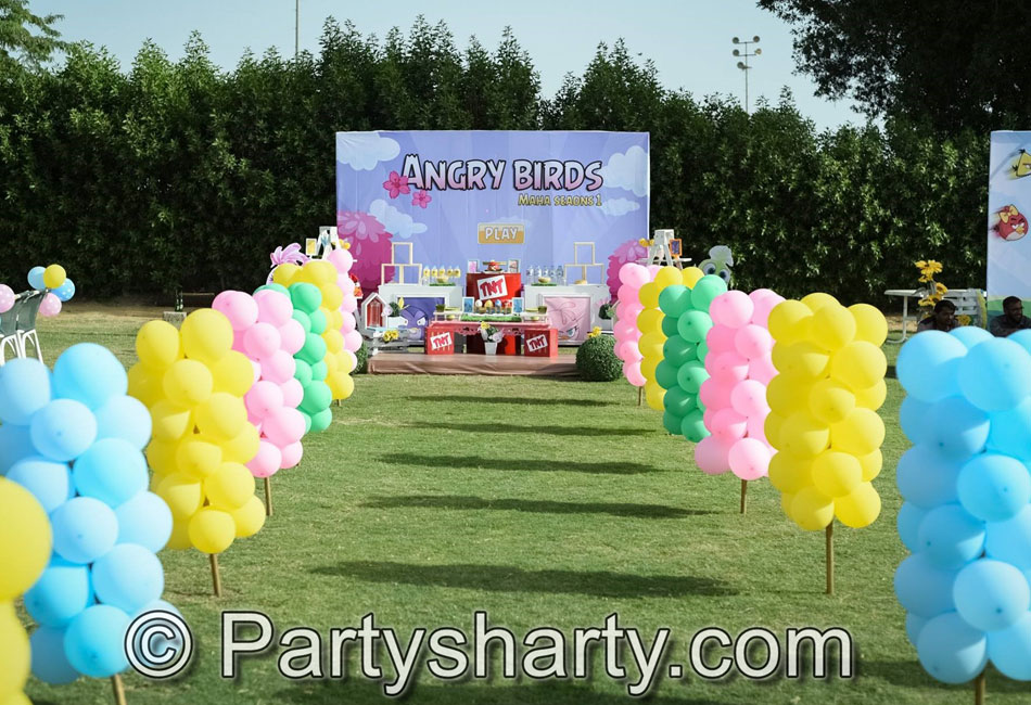 Angry Bird Theme Birthday Party, Birthday themes for Boys, Birthday themes for girls, Birthday party Ideas, birthday party organisers in Delhi, Gurgaon, Noida, Best Birthday Party Themes for Kids and Adults, theme-based birthday party